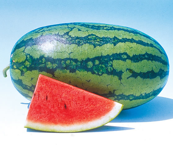 watermelon.jpg